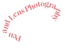 Studio Ostendo Photography Sticker