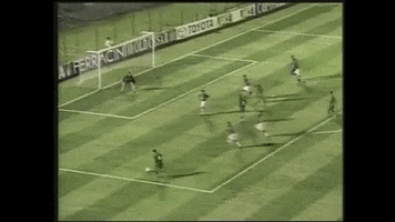junior baiano libertadores GIF by SE Palmeiras