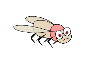 Fly Sticker