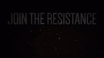 fern  GIF