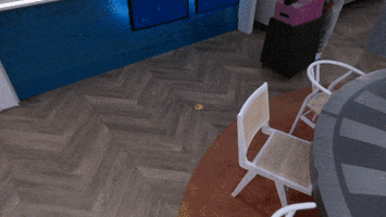 Head Of Household Coin Flip GIF by Big Brother