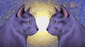 Valentines Day Love GIF by Electric Catnip