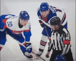 Hockey Nhl GIF