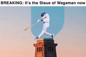 Mets Msp GIF