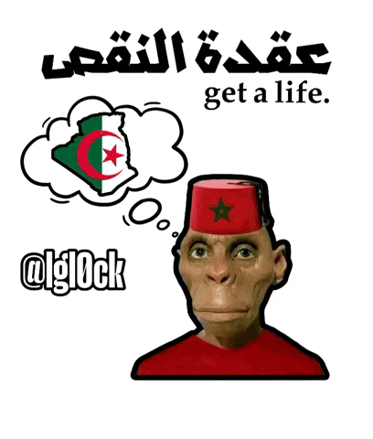 Get A Life Monkey GIF