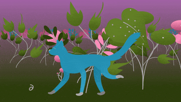 liviyde cat pink blue green GIF
