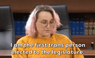 Trans Day Of Visibility Minnesota GIF by GIPHY News