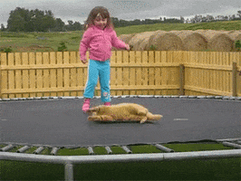 Cat Girl GIFs - Find & Share on GIPHY