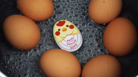 Boiling Egg GIFs Get The Best GIF On GIPHY Boiling Egg GIFs Get The Best GIF On GIPHY