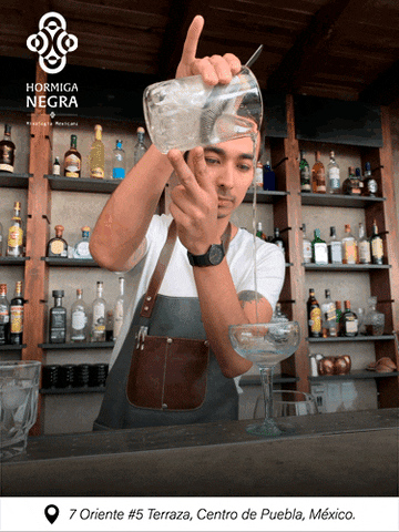 mexico cocktail GIF by Hormiga Negra Bar