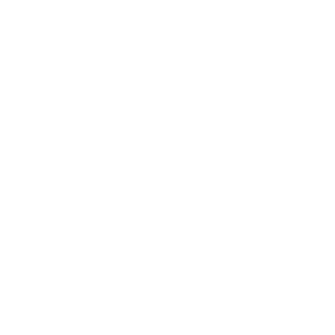 Sport65 Sticker