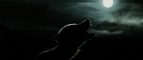 Image result for howling at the moon gif