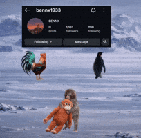 Penguin Monkey GIF