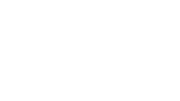 Cry Cactus GIF by Lili et Gordo