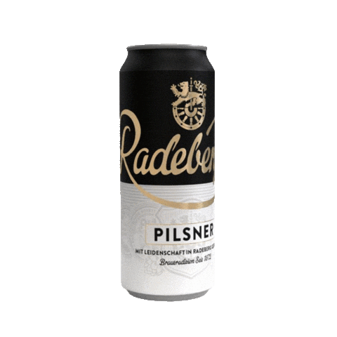 Beer Bier Sticker by radeberger