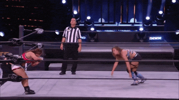 Wwe Fail GIF