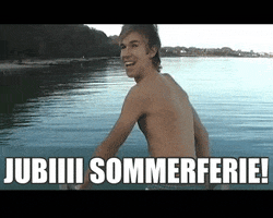 Sommerferie Logicandmagic GIF by Hjaltelin Stahl