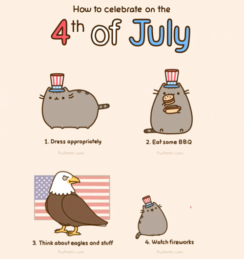 Fourth Of July Cat GIF by Pusheen