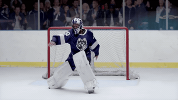 wagnerbrenner  GIF