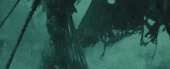 Fight Star GIF