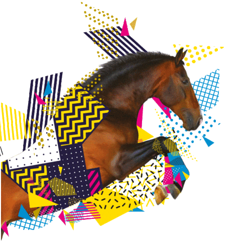 Département du Calvados Sticker