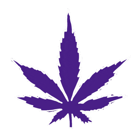 Sticker by Maryjuana Shampoo