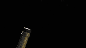new year party GIF