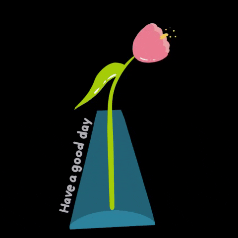 Flower Have A GIF