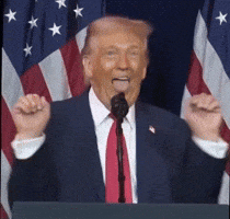 Donald Trump GIF