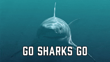 San Jose Sharks Sport GIF by Sealed With A GIF