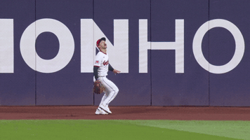 Sport Baseball GIF by MLB