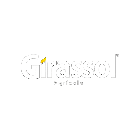 Girassol Agrícola Sticker