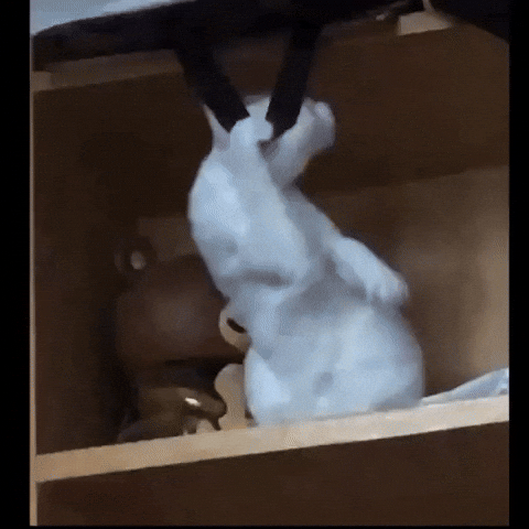 Hanging My Life GIF by Kalmarry.pl