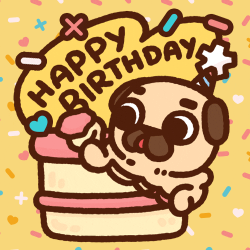 Chavachon Dog Cake GIFs Find & Share on GIPHY