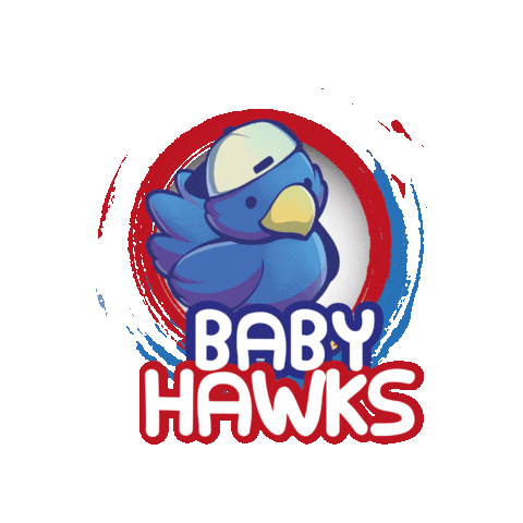 Hawks Sticker by Madison Monterrey