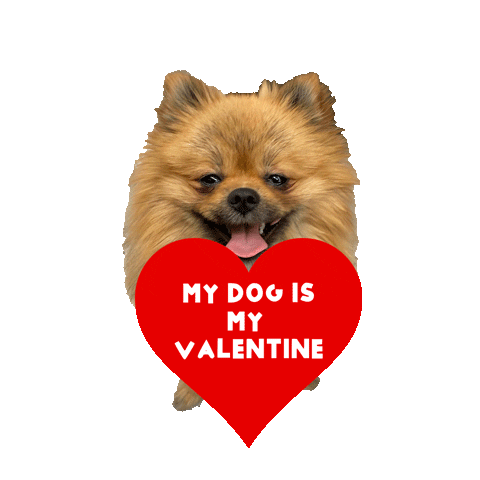 Dog Valentine Sticker