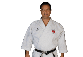 Isshoni Karate Sticker