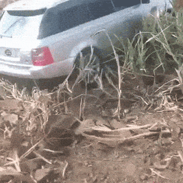 mud