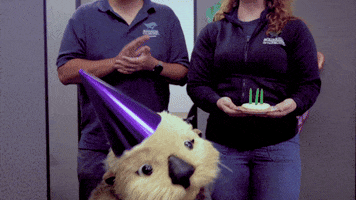 Happy Birthday Party GIF by Aquarium of the Pacific