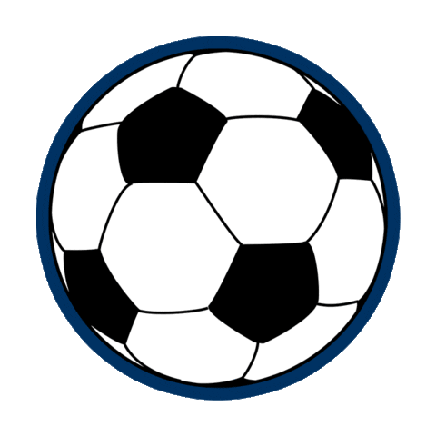 NTX Soccer Sticker