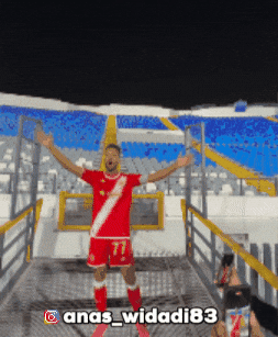 Morocco Winners GIF