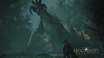 Evade Harry Potter GIF by WBGames