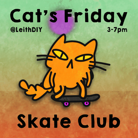Cats Skateboard GIF
