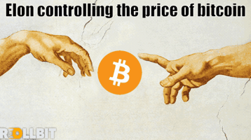 Meme GIF
