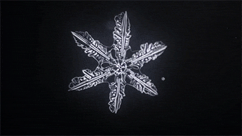 time snowflake GIF