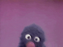 Sesame Street Photo GIF