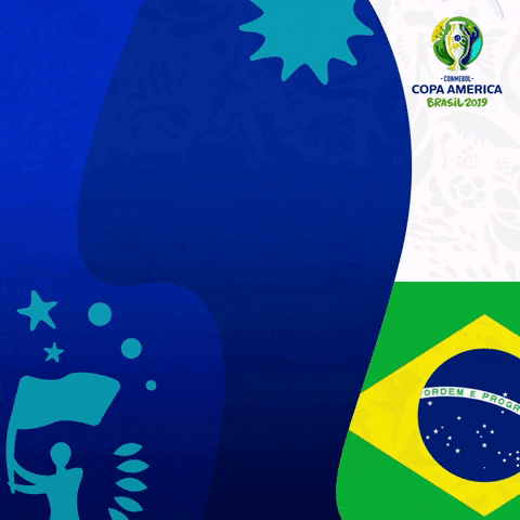 futbol vibraocontinente GIF by Copa América