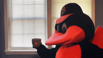 Kermit The Frog Sipping Tea GIF by Baltimore Orioles
