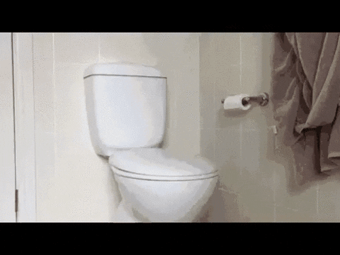 Pee GIF - Find & Share on GIPHY