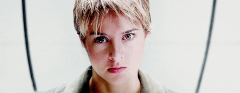 insurgent
